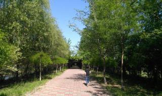 天津杨柳青庄园 天津杨柳青庄园